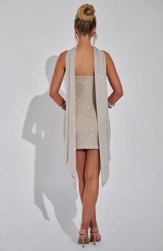 Ginni Mini Dress - Silver/Nude - glavon
