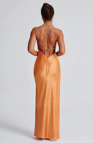 Misha Maxi Dress - Tangerine - glavon